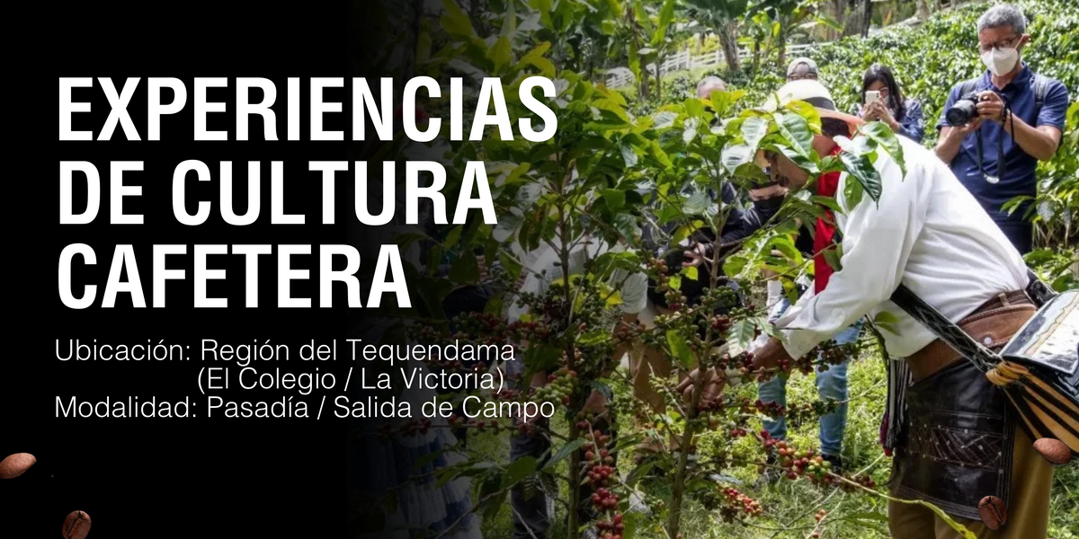 Tour Cafetero