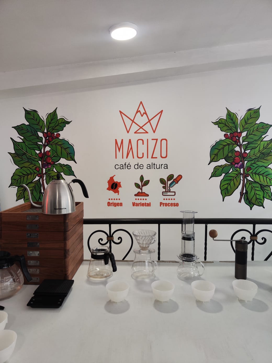 Taller & Experiencia en Planta: Del Grano a la Taza